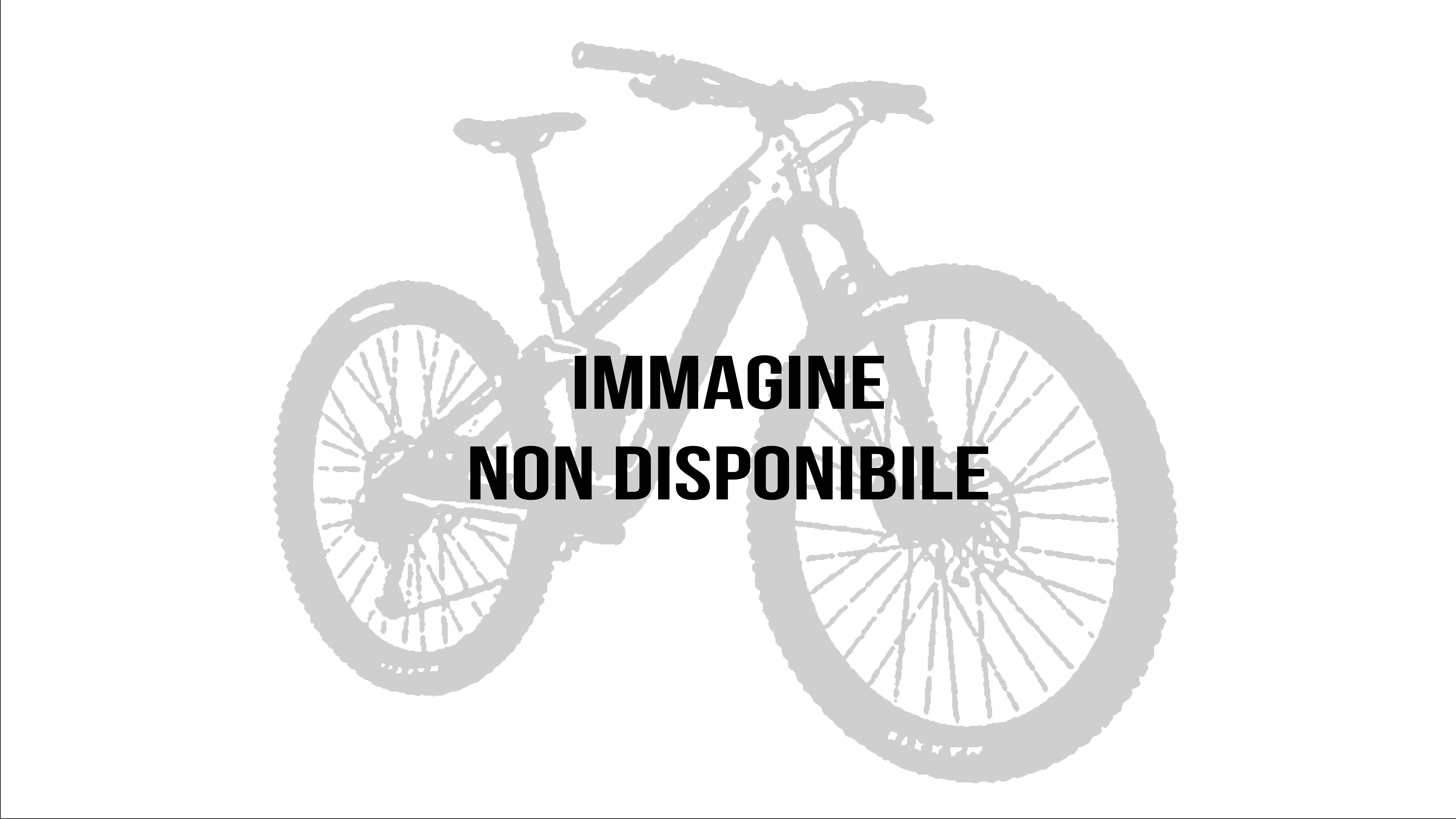 SMUGGLER Carbon GX AXS